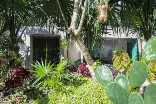 Villa Alebrije with pool near Bacalar lagoon