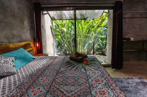 . Casa Catarina, private house near Bacalar lagoon