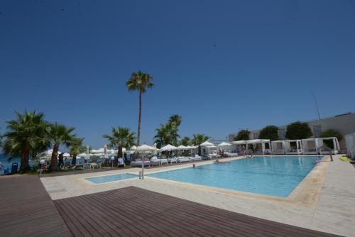 Silver Sands Beach Hotel - image 14