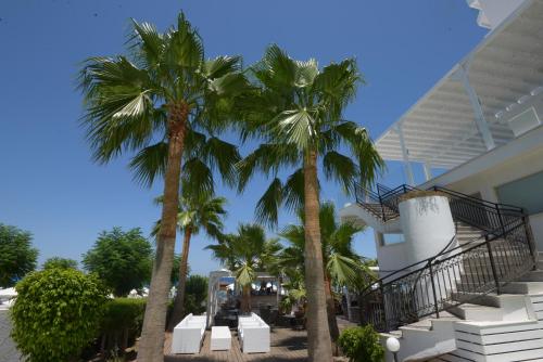 Silver Sands Beach Hotel - image 6