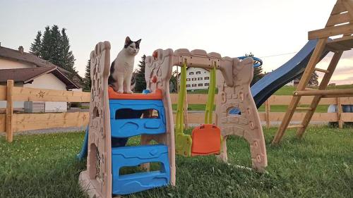 Playground, Panoramahof Breher in Hopferau