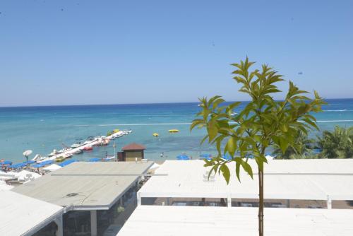 Silver Sands Beach Hotel - image 12