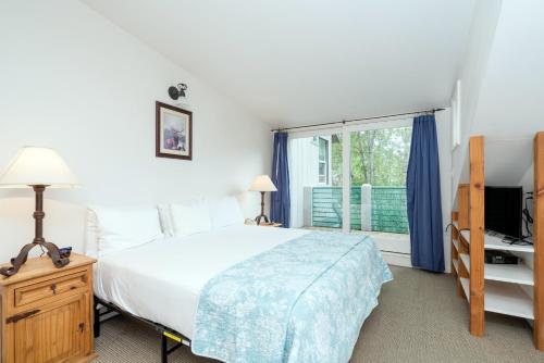 Mountainside Inn 101 by Alpine Lodging Telluride - image 5