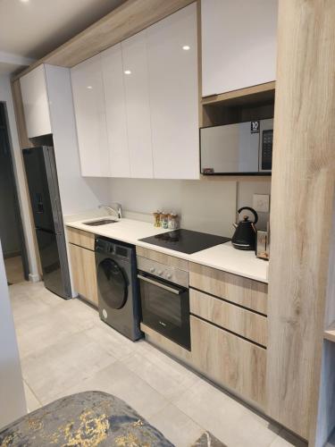 One-Bedroom Apartment image 5