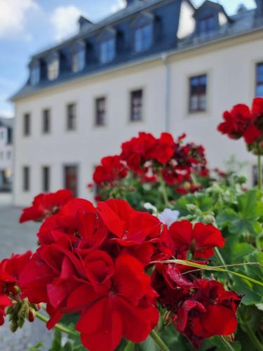 Pension Rio - Schneeberg