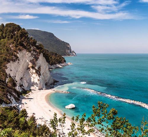 Tra Gli Olivi E La Riviera Del Conero