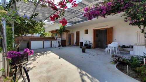 Elios casevacanze sulla spiaggia in 阿爾卡莫