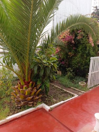 Hotel Paseo Valle – Vina del Mar, WV