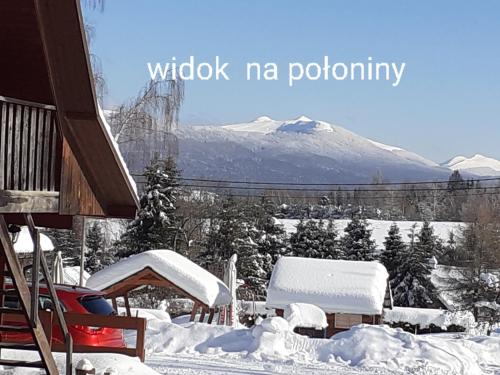 Widok