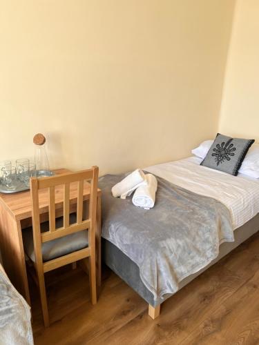Nauczycielskie Centrum Room Type - Double Room with Mountain View
