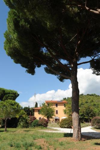  Villa Boldrini b&b, Pension in Venturina Terme bei La Sdriscia