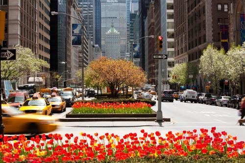 Loews Regency New York Hotel