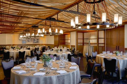 Loews Chicago Hotel - image 7