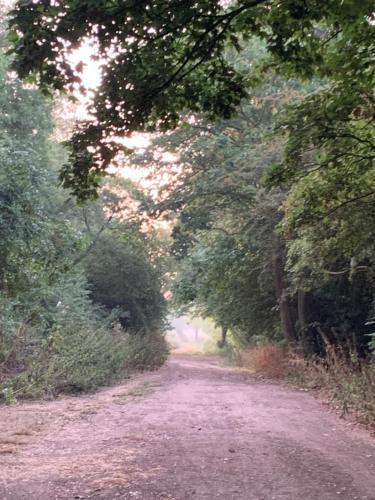 Pet friendly, disabled friendly cabin close to the humber and immingham