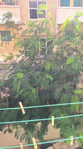 Sweet Home-ممنوع للمصرين Last Check in 12 Am in Hurghada