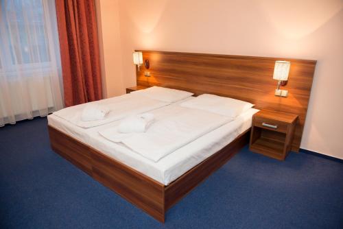 Wellness Hotel Frymburk