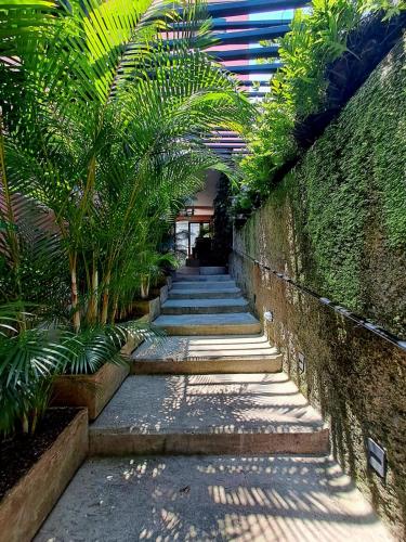 花園, Rossa Palma in 卡利市中心