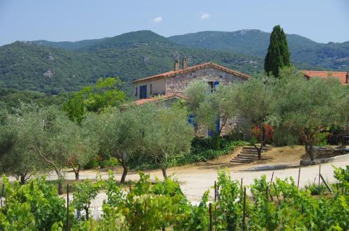 Casa Erbaggio - Location saisonnière - Sartène