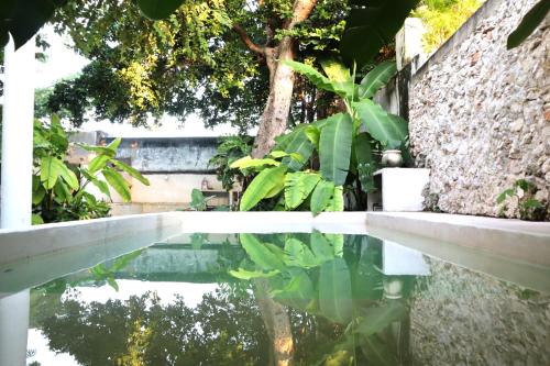 Beautiful Casa Visit Merida Yucatan as a local in Mérida, Mexico