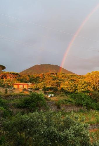 B&B Iolì Vesuvio – Ercolano , CO