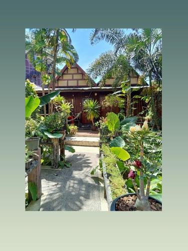 P P Garden Home Bungalow 5