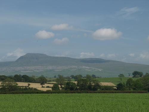 Rose Cottage - image 10