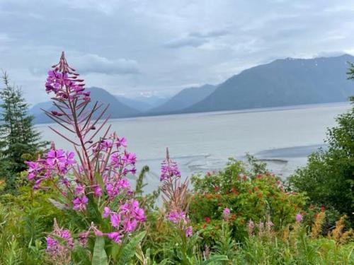 Alaska Lake + Lodge at Longmere