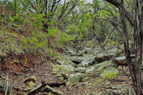 Cabin in Helotes Hill Country about 9 Mi to Old Town!