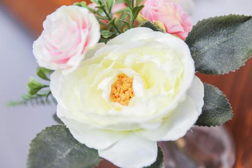 Beautiful Rooms in Edinburgh Cottage Guest House - Free Parking, Édimbourg (photo 9)