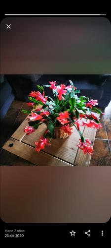 Cornatel Médulas Cornatel Médulas