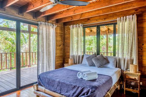 Guapil #10 Guapil #10