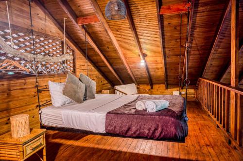 Guapil #10 Guapil #10