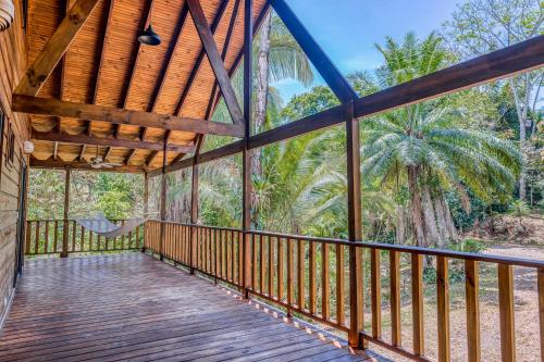 Guapil #10 Guapil #10