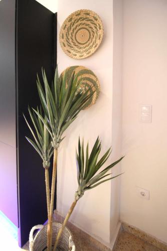 Estudio Baleares Apartamento n3 - image 5