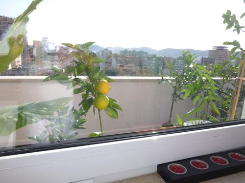 140m2 Top FloorCentral Loft 24hr Self Check-in, Tirana (photo 8)