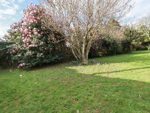 No 5 Carlyon Road - image 13