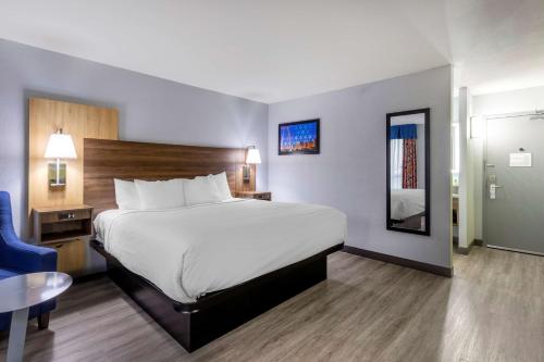 1 king bed