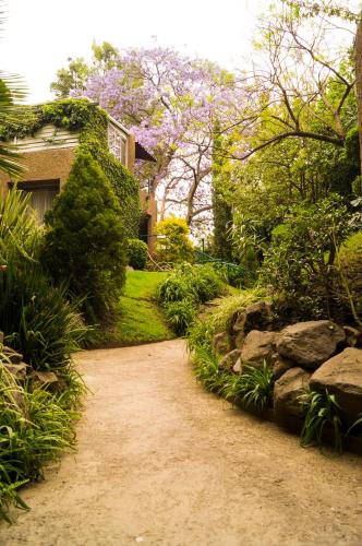 Suite 1-A Monasterio Garden House Welcome to San Angel