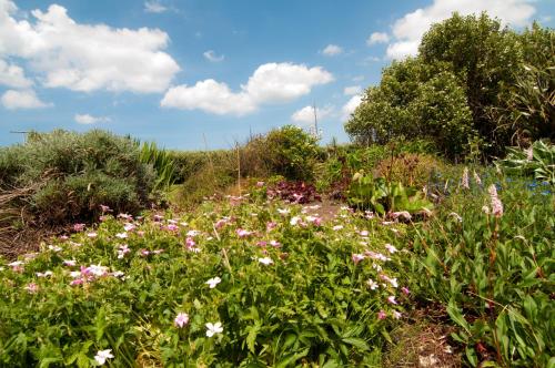 Einrichtungen, Pairc Lodge in Doolin