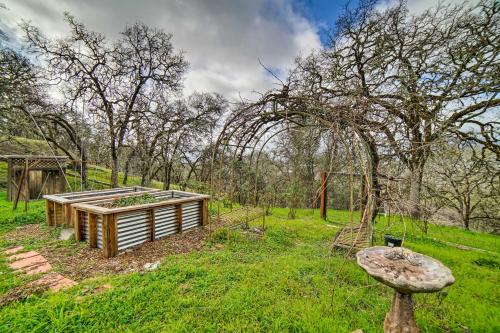 Hilltop Loft Ukiah Vacation Rental!