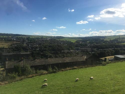 Stunning Home with STARGAZING ROOM Near Kielder Water