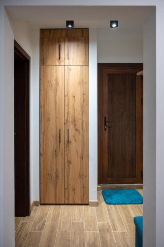One-Bedroom Apartment image 6