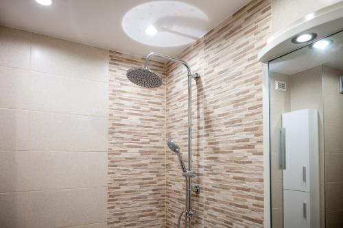 One-Bedroom Apartment image 5