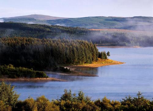 Stunning Home with STARGAZING ROOM Near Kielder Water