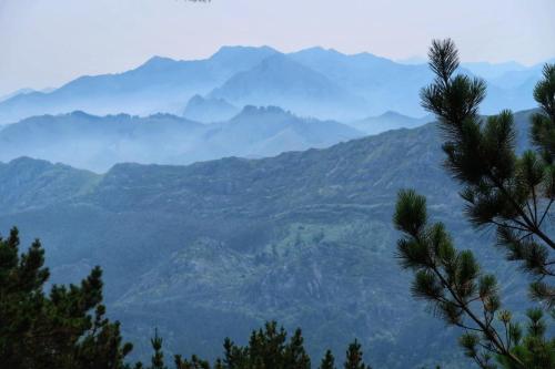 Amaicha Casona Amaicha Casona