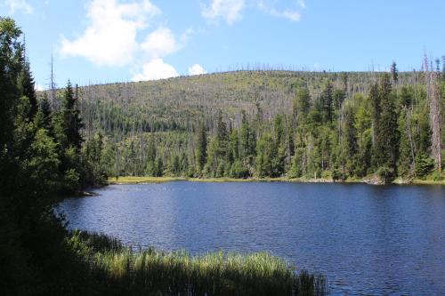 Apartmán U10 (Apartman U10) in Kolinec