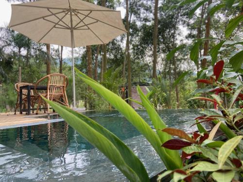 Swimming pool, Sausau Garden, a pefect retreat for relaxing, close to Noi Bai airport in Nam Sơn