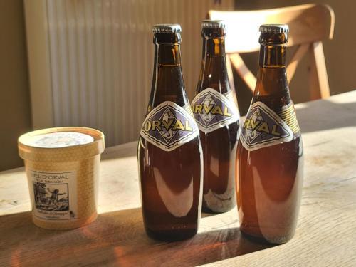Family-friendly accommodation in the forges of Orval opposite the abbey