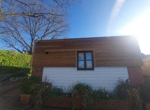 Detached studio - Large shower ensuite - Kitchen - Only 3 Miles from Lyme Regis & Charmouth - Free WiFi & Private parking - Pet friendly with small fenced garden