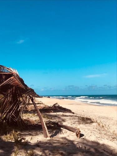 Hostel Terra Viva – Pipa Beach, MT